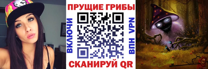 Псилоцибиновые грибы Cubensis  наркошоп  Железноводск 
